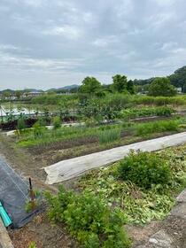 大阪府南河内郡太子町大字太子