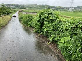 愛知県知多郡武豊町大字東大高字山之神