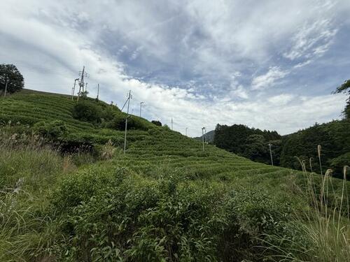 Land, Wazuka Town, Kyoto