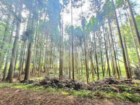 京都府南丹市美山町内久保井戸