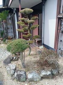 岡山県赤磐市下仁保