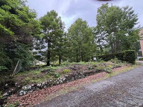 静岡県伊東市八幡野