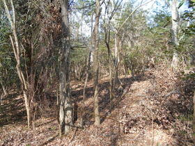 静岡県伊東市十足