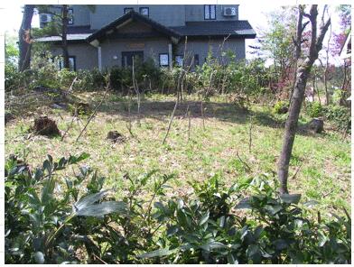 Land, Agano, Niigata