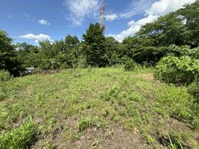 熊本県阿蘇郡西原村大字小森