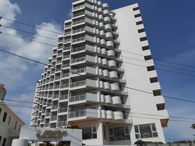 千葉県南房総市白浜町白浜