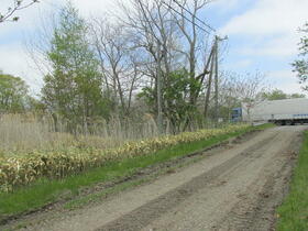北海道苫小牧市字植苗