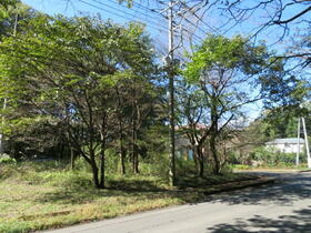 栃木県那須塩原市青木
