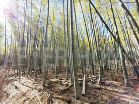 京都府京都市西京区大原野南春日町
