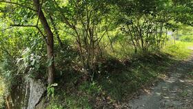 愛媛県宇和島市三間町曽根