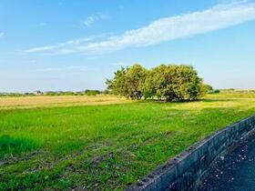 大分県中津市大字定留
