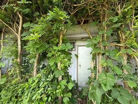 千葉県南房総市和田町花園