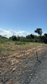 東京都大島町差木地