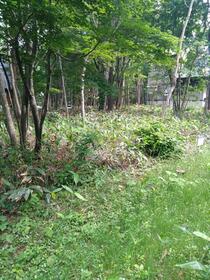 岩手県八幡平市松尾寄木第１地割