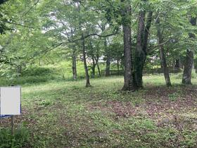 山梨県北杜市大泉町谷戸