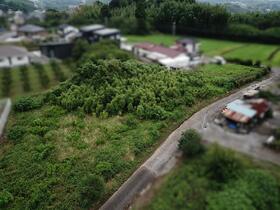 大分県速見郡日出町大字川崎