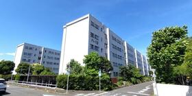 多摩川住宅ハー１３号棟