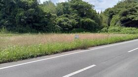 熊本県熊本市南区城南町沈目