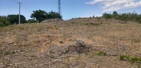 宮城県登米市迫町新田字駒林前