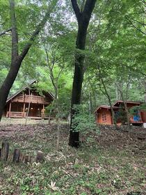 栃木県那須郡那須町大字豊原甲