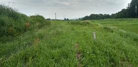 宮城県栗原市高清水上外沢田