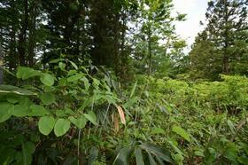 長野県下高井郡野沢温泉村大字豊郷
