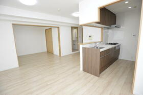 ディオフェルティ石切