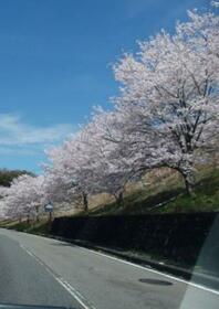 愛知県豊田市本地町２丁目