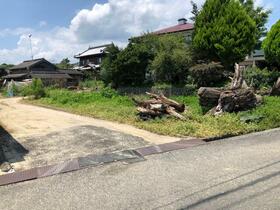 徳島県板野郡上板町泉谷字メウト石