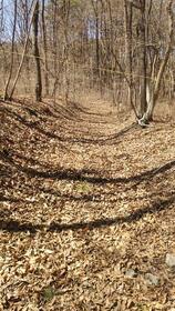 山梨県北杜市白州町白須