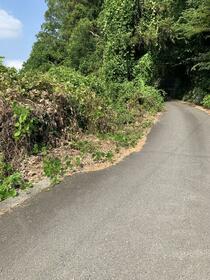 和歌山県紀の川市桃山町最上