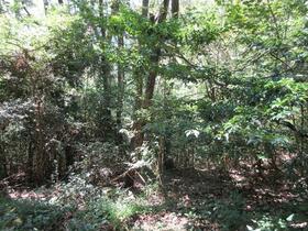和歌山県紀の川市上鞆渕