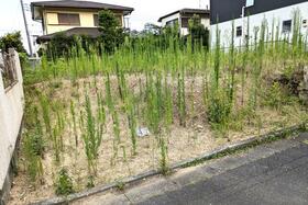 東京都八王子市狭間町