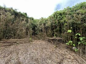 茨城県鉾田市二重作
