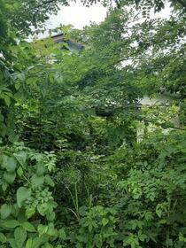 群馬県渋川市渋川