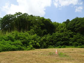 宮城県登米市迫町新田字彦道