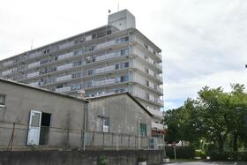 埼玉県新座市野火止４丁目