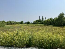北海道江別市大麻