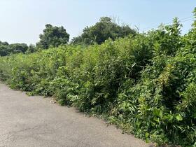 茨城県下妻市五箇