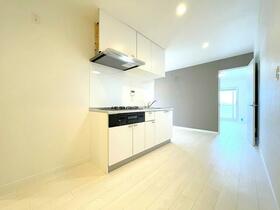 初登場　即入可　カーサ市川