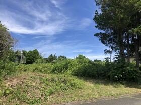 福島県双葉郡浪江町大字川添字南上ノ原