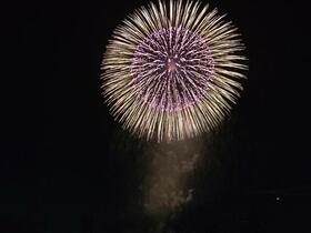 「近鉄の仲介」ダイアパレス九華公園「上階角、夏は花火が観えます」
