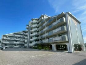 セントエルモ南柏