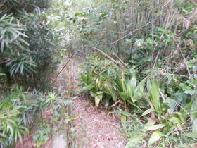 鹿児島県南さつま市金峰町池辺