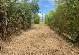 千葉県山武市蓮沼イ