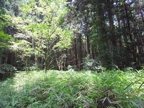 静岡県富士宮市猪之頭