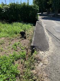 熊本県宇城市松橋町豊福