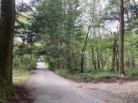 長野県北佐久郡軽井沢町大字軽井沢