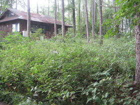 長野県安曇野市穂高牧