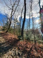 長野県北佐久郡軽井沢町大字軽井沢